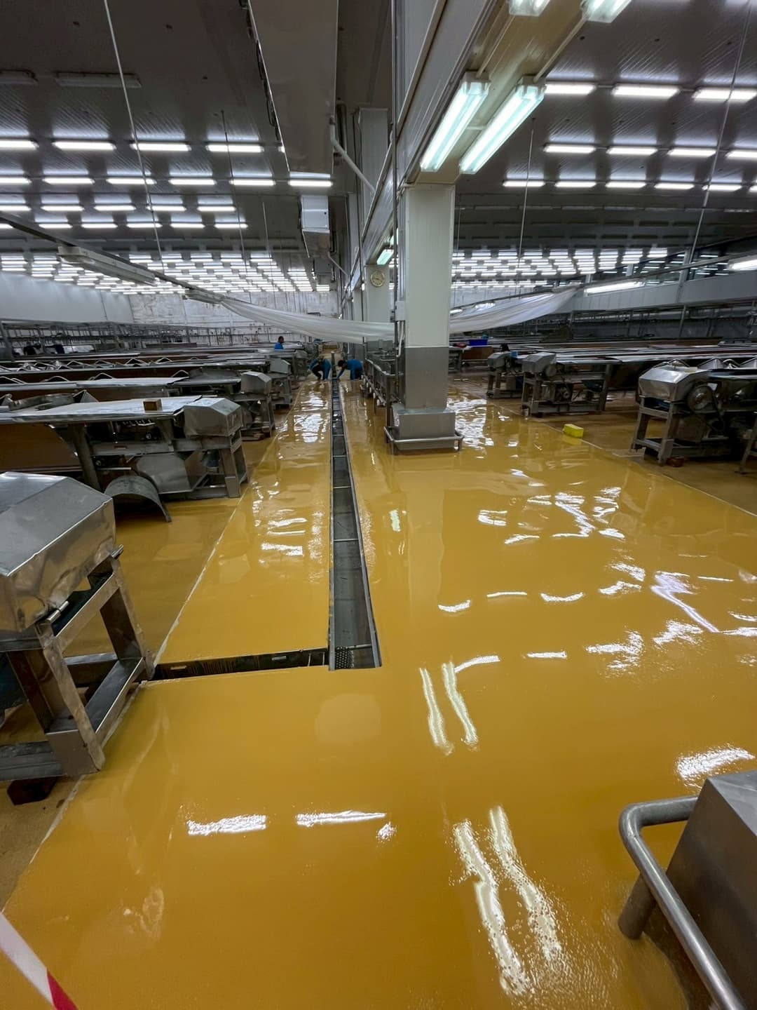 งานเคลือบพื้น PU Polyurethane MF @สหฟาร์มลพบุรี