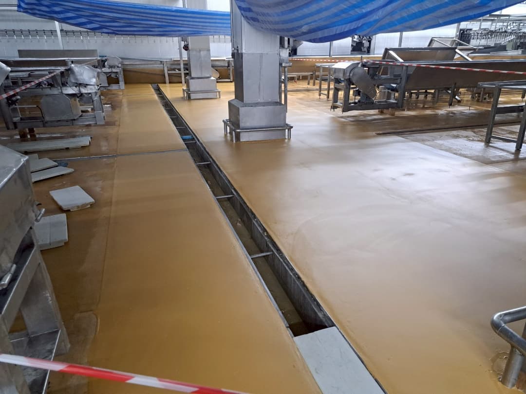งานเคลือบพื้น PU Polyurethane MF @สหฟาร์มลพบุรี